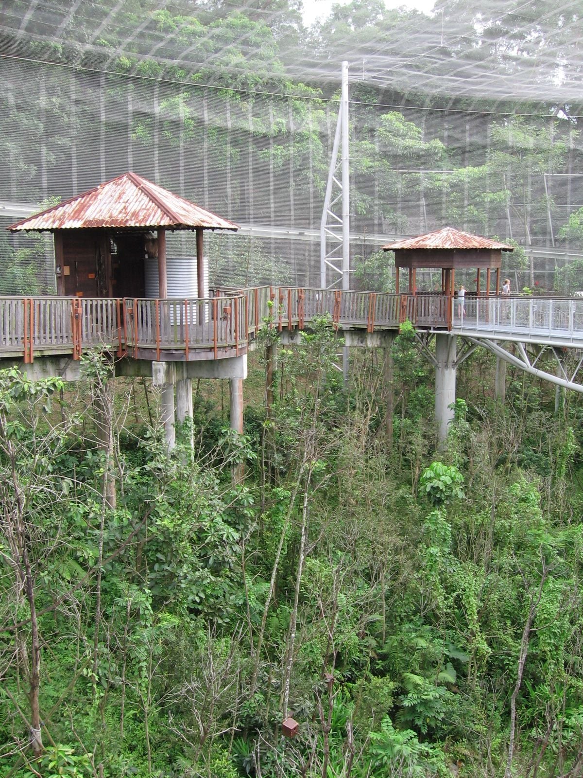 Jurong Bird Park, Singapore. Photograph: SengKang, 2005, Wiki, CC.